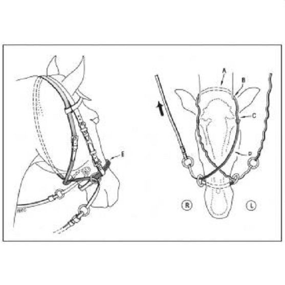 Уздечка безтрензельная (Уздечка Кука), Harrys Horse