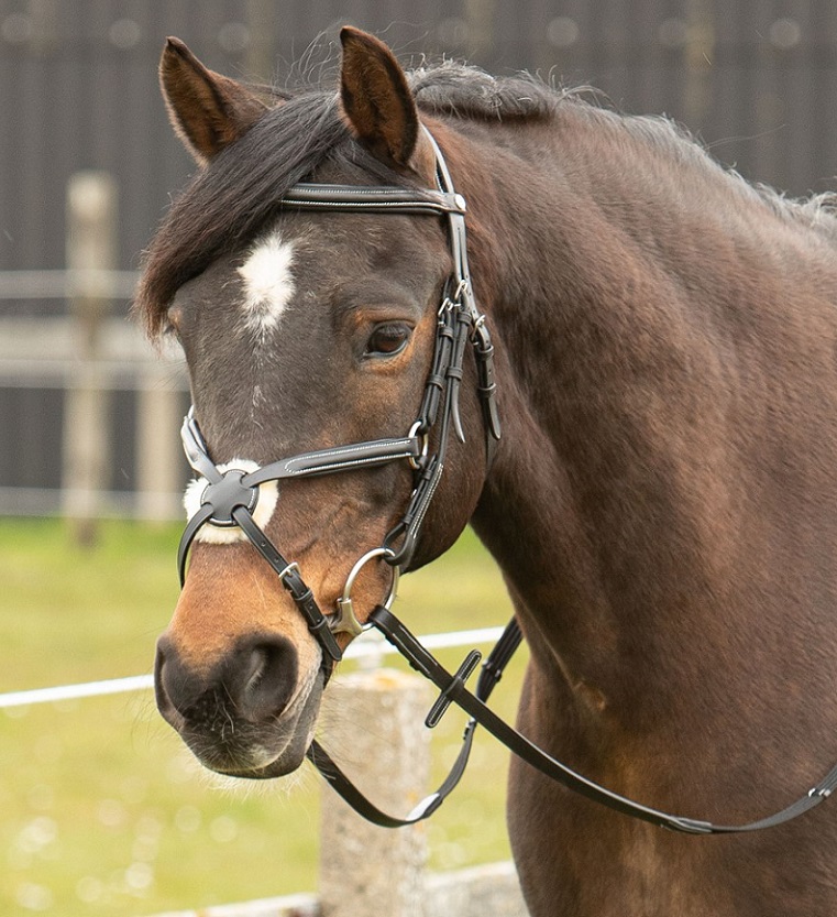 Уздечка Harrys Horse мексиканский капсуль