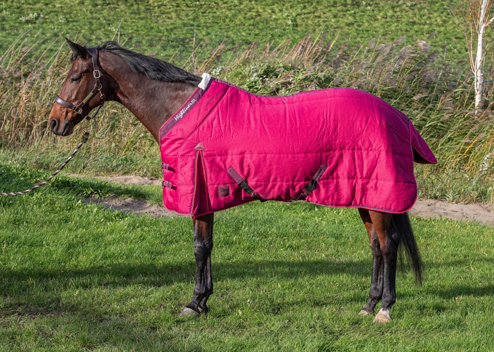 Попона денниковая Harrys Horse Highliner WI24 200гр