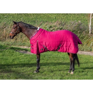 Попона денниковая Harrys Horse Highliner WI24 200гр