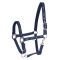  Waldhausen Horsemotif