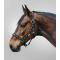  Waldhausen Horsemotif