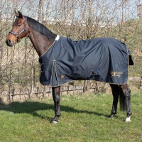     Harrys Horse