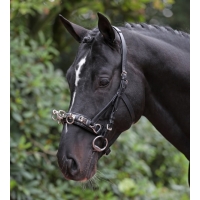 ������� ���� Covalliero Exclusive