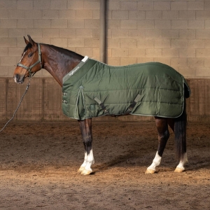 Попона денниковая Harrys Horse Highliner AW 2025 300гр