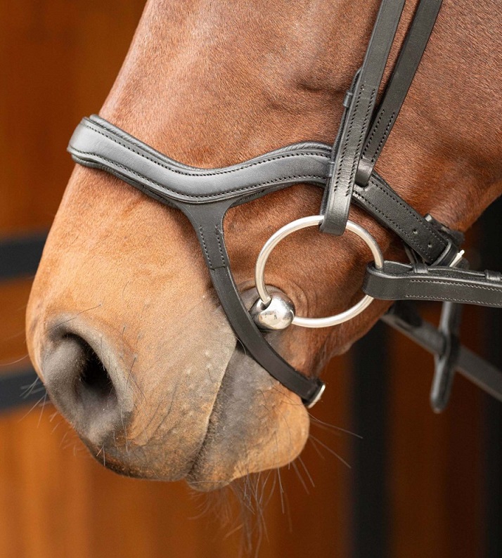 Уздечка Harrys Horse Anatomic