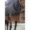 Попона утепленная прогулочная Equi-Theme Aisens с капором 600 Den 300гр