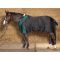 Попона денниковая Harrys Horse Highliner 300гр 300 Den