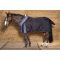 Попона денниковая Harrys Horse Highliner 300гр 300 Den