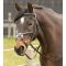 Уздечка Harrys Horse мексиканский капсуль