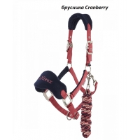 брусника Cranberry