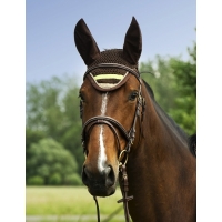 коричневый/фисташка