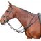 Подперсье с мартингалом Harrys Horse