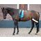 Шлея Pessoa Harrys Horse